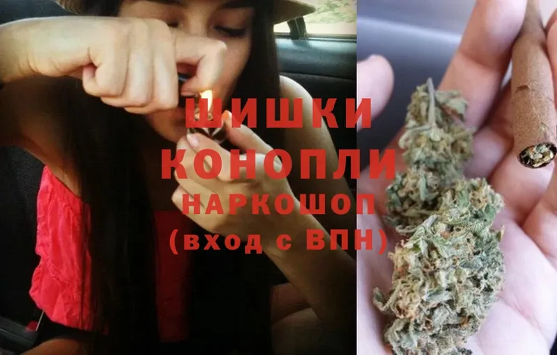 Конопля SATIVA & INDICA  закладка  Грайворон 